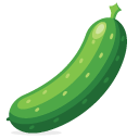 Hydroponic Cucumber