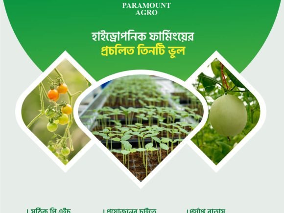 Hydroponic farming is one of the popular farming